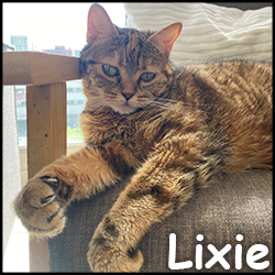 Lixie