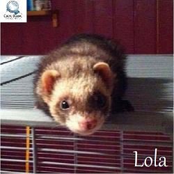 lola