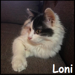 Loni