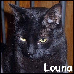 Louna