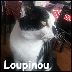 Loupinou