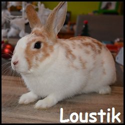 Loustic