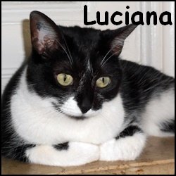 Luciana