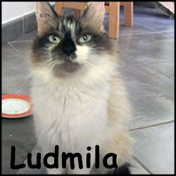 Ludmila