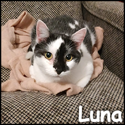 Luna