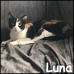 Luna