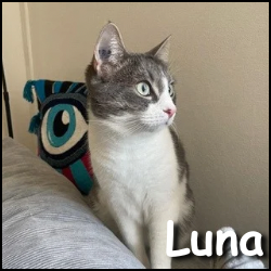 Luna