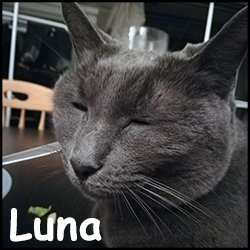 Luna