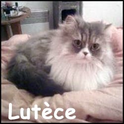 Lutece