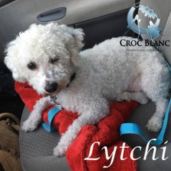 Lytchi