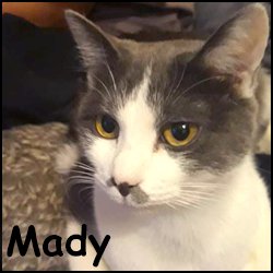 Mady