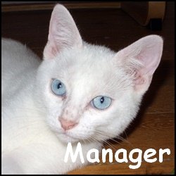 Manager