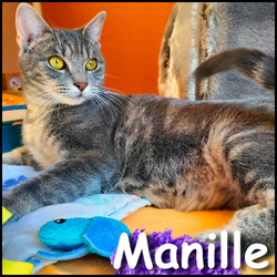 Manille