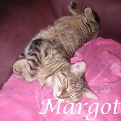 Margot