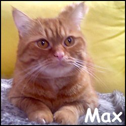 Max