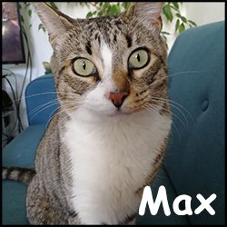 Max