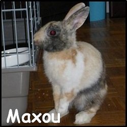Maxou