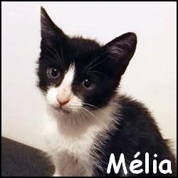 Mélia
