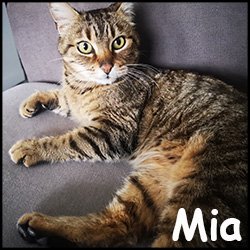 Mia