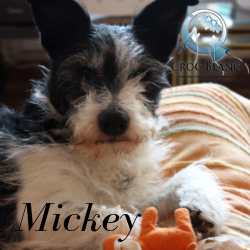 Mickey 2