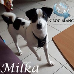 Milka