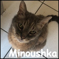 Minoushka