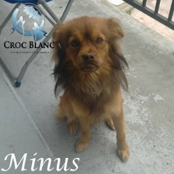 Minus