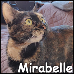 Mirabelle