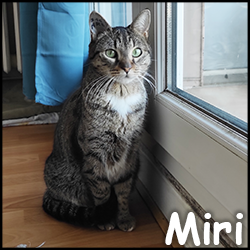 Miri