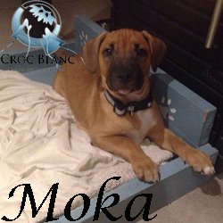 Moka