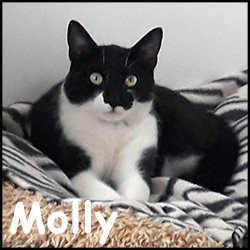 Molly