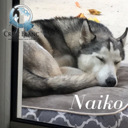 Naiko3