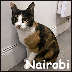 Nairobi