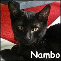 Nambo