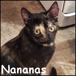 Nananas