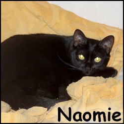 Naomie