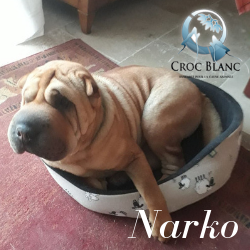 Narko1