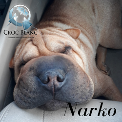 Narko2