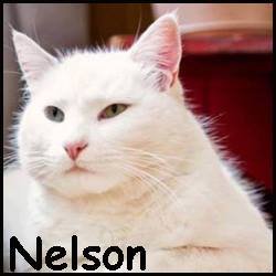 Nelson