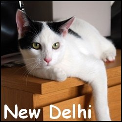 New Delhi