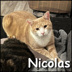 Nicolas