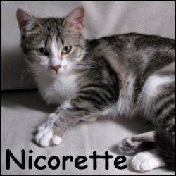 Nicorette