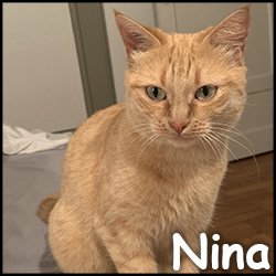 Nina