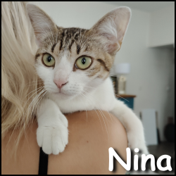 Nina