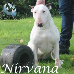 Nirvana