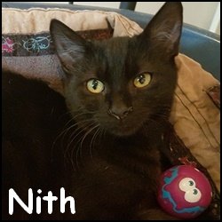Nith