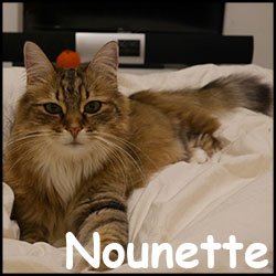 Nounette