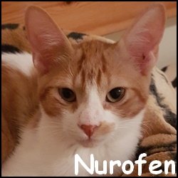 Nurofen