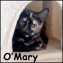 O'Mary