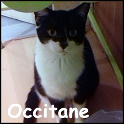 Occitane